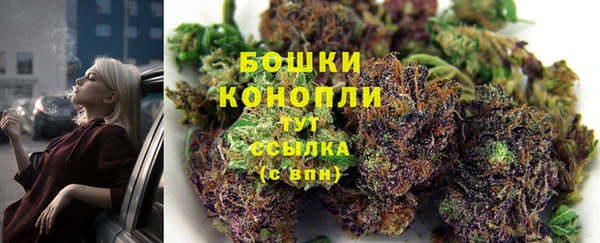 MESCALINE Аркадак