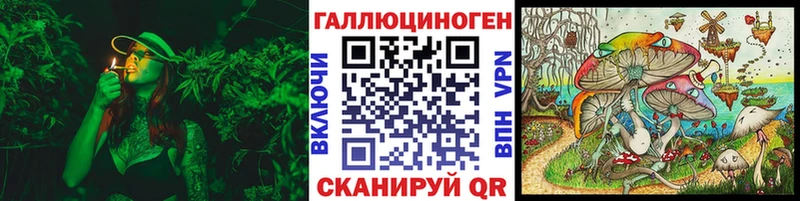 Псилоцибиновые грибы GOLDEN TEACHER закладки Зеленодольск